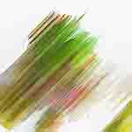 menu-item-1