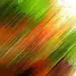 menu-item-6
